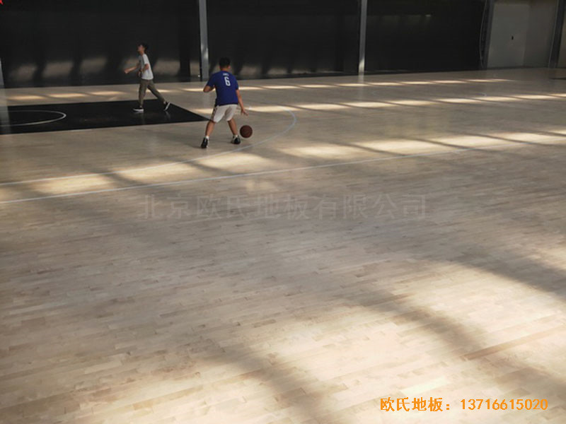 南阳骄阳体育篮球俱乐部运动木地板安装案例3
