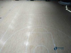 国产体育篮球木地板安装公司