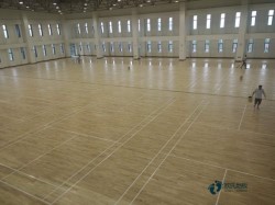 去哪买篮球体育地板厂家报价