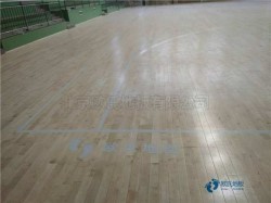 20厚篮球馆木地板厂家报价