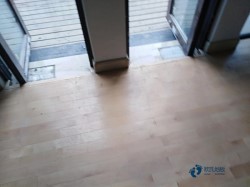 哪里有运动馆木地板公司