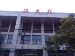 批发篮球场地板厂家报价
