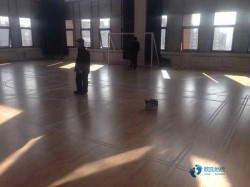 寻求运动型地板公司