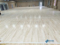 哪有体育场馆木地板品牌排行榜
