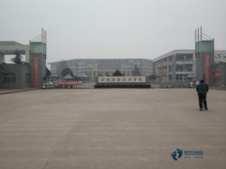 篮球场木地板价格
