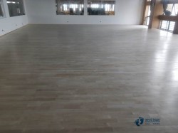 篮球馆木地板行业品牌