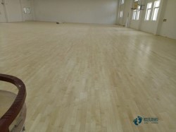 篮球木地板哪个牌子性价比高