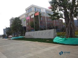 篮球馆木地板价格表