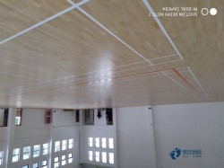 篮球馆木地板哪家好