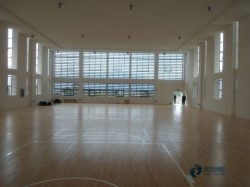 篮球场馆地板品牌哪个好