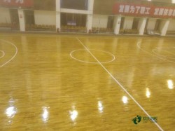 弹性运动馆木地板