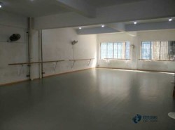 22mm厚运动木地板