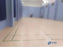 国标体育馆木地板