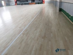 那里有体育篮球木地板品牌