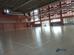 悬浮体育场地板施工单位