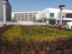 专业运动型地板施工步骤
