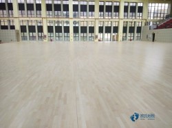 体育运动地板价格多少钱