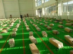 体育场地地板多少钱