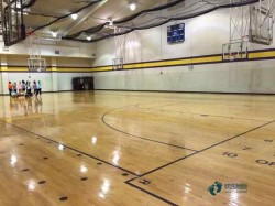 篮球馆木地板要多少钱