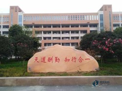 篮球场木地板的物理特性检测些什么