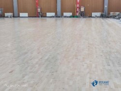 松木舞台运动体育木地板哪个牌子比较好