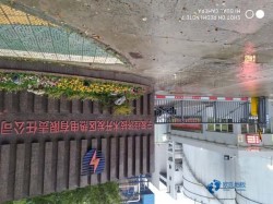 购买俄勒冈松舞台体育场地地板哪种牌子好