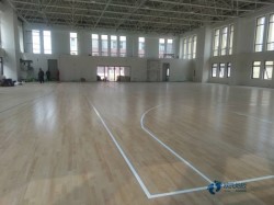 较好的运动木地板怎么更换